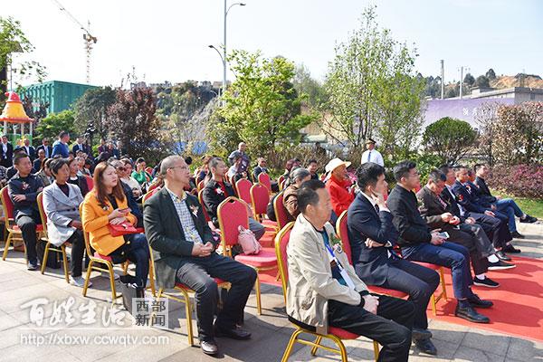 西昌南山国际最新动态，城市发展璀璨明珠的闪耀